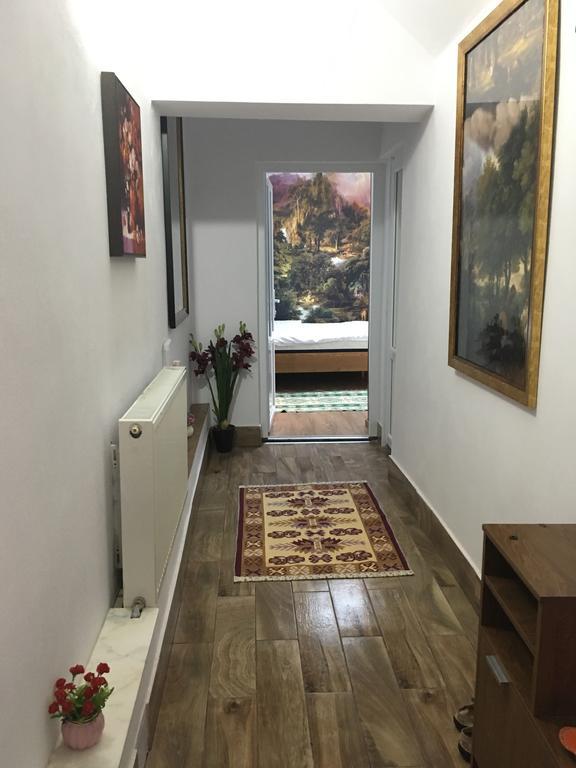 אלבאק Pensiunea Felyviss מראה חיצוני תמונה
